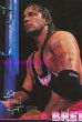 Bret Hitman Hart (FILEminimizer).jpg