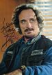 Kim Coates 2017 (FILEminimizer).jpg